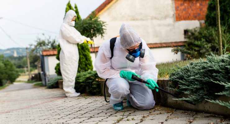 Disinfestazione Roma